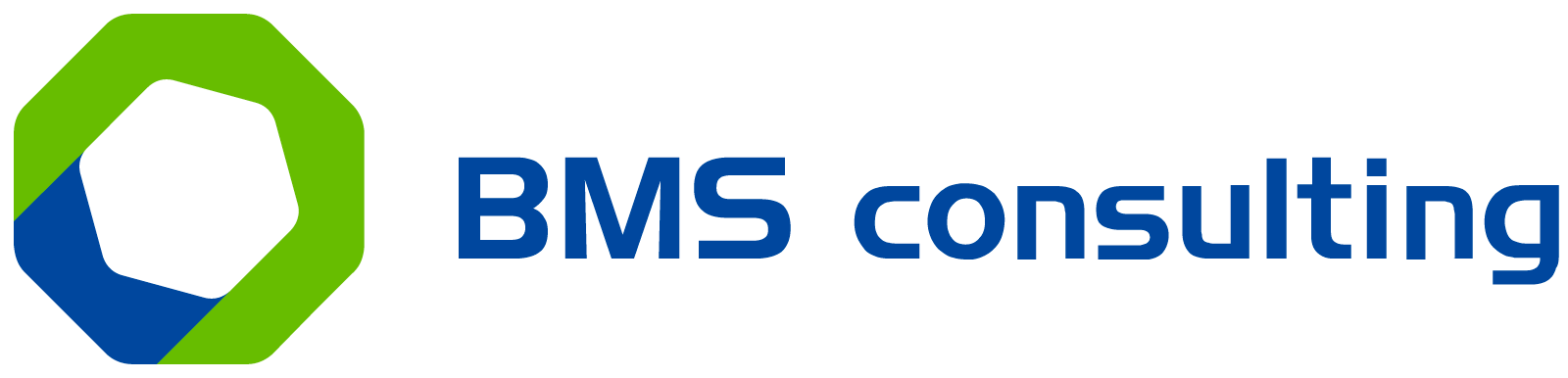 BMS consulting